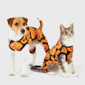 Hyde And Eek Pumpkin Pet Pajamas
